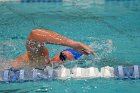 Swimming & Diving vs Babson  Swimming & Diving vs Babson College. - Photo by Keith Nordstrom : Wheaton, Swimming